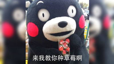 来和我种草莓表情包截图