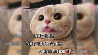 来和我种草莓表情包截图