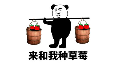 来和我种草莓表情包截图