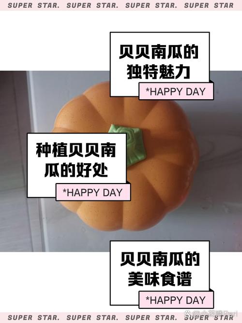 南瓜视频107766无任何门槛，网友：手机必备神器