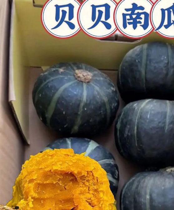 南瓜视频107766无任何门槛，网友：手机必备神器