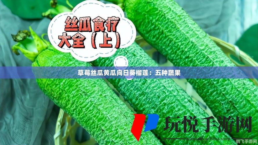 草莓 香蕉 丝瓜 秋葵 香草 榴莲色多多,火爆国内外的视频网站门户
