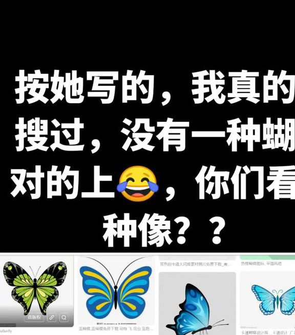 蝴蝶影院永久版,免费无广告的进行观看