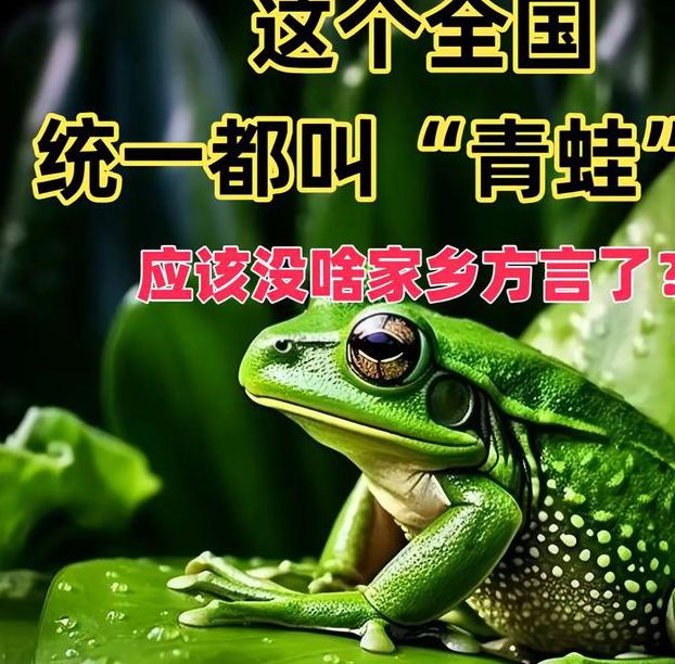 青蛙app老版本你懂得片源应有尽有,网友:爱不释手啊! 青蛙app老版本你懂得片源应有尽有,网友:爱不释手啊!