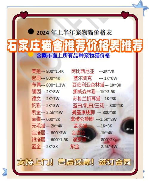 新版猫咪目前的地址2021官网版V1.8.3_内容都是让人心满意足的?网友:是的!新版猫咪目前的地址2021官网版 新版猫咪目前的地址2021官网版V1.8.3_内容都是让人心满意足的?网友:是的!新版猫咪目前的地址2021官网版