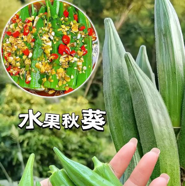 秋葵 榴莲 樱桃 小蝌蚪 视频大全V6.5.6_秋葵 榴莲 樱桃 小蝌蚪 视频大全