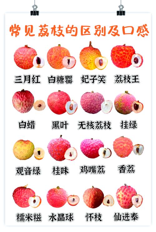 荔枝旧版本2018V4.6.1_荔枝旧版本2018