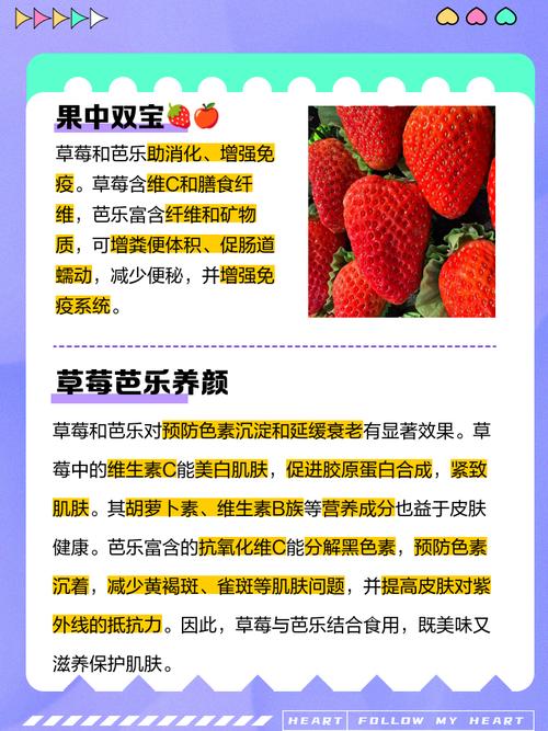 芭乐小猪幸福宝丝瓜草莓汇总V3.5.2_芭乐小猪幸福宝丝瓜草莓汇总 芭乐小猪幸福宝丝瓜草莓汇总V3.5.2_芭乐小猪幸福宝丝瓜草莓汇总