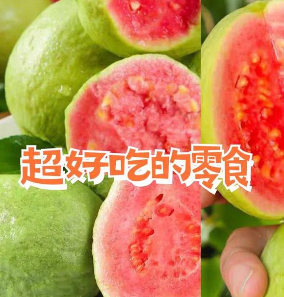 芭乐小猪幸福宝丝瓜草莓汇总V3.5.2_芭乐小猪幸福宝丝瓜草莓汇总 芭乐小猪幸福宝丝瓜草莓汇总V3.5.2_芭乐小猪幸福宝丝瓜草莓汇总