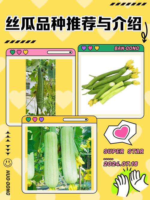 丝瓜富二代V6.5.5_丝瓜富二代