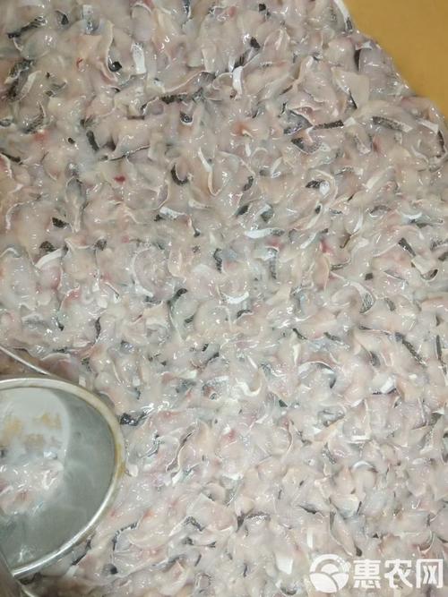 乌鱼影视大全,丰富你生活 乌鱼影视大全,丰富你生活