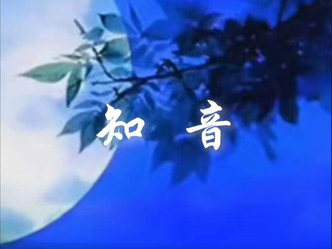 遇知音appV9.3.6_遇知音app