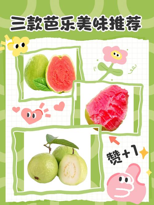 幸福宝芭乐向日葵鸭脖小猪榴莲解锁版新增欧洲日本最强资源，网友：不错