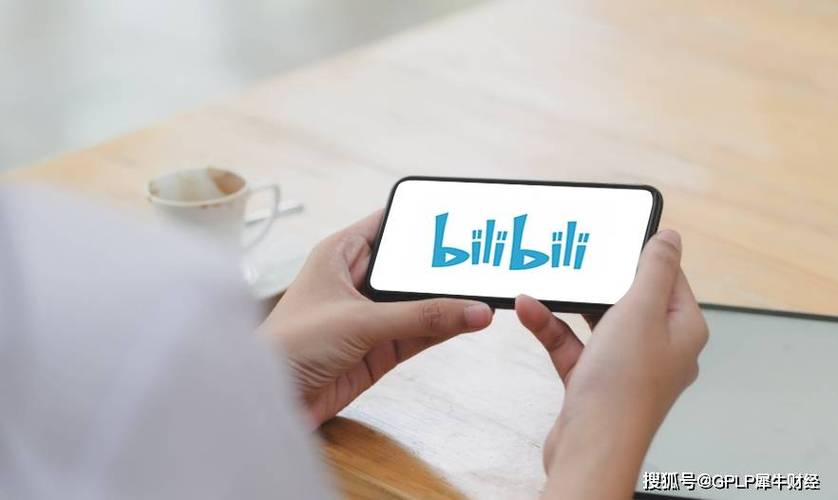 变态版哔哩哔哩app服务器崩溃，平台：访问人太多了
