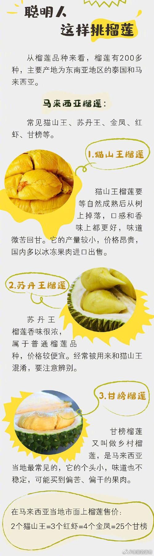 榴莲.combo3.0深夜释放自己V6.2.1_全新的版本即将上线，网友：广告全免榴莲.combo3.0深夜释放自己