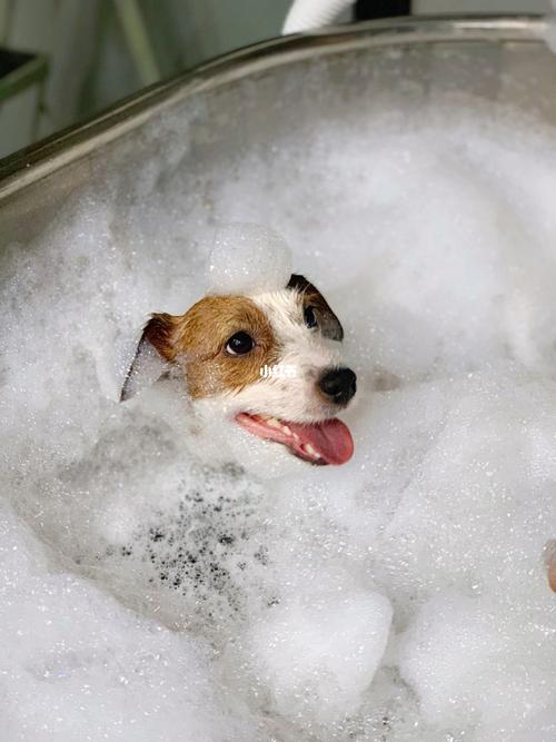 泡一泡最新版V3.1.1_泡一泡最新版