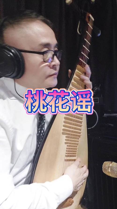 琵琶桃花在线V7.2.6_,有很多精彩的视频内容琵琶桃花在线