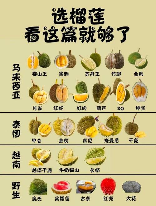 ll999榴莲aplaceholder免费版V8.5.7_ll999榴莲aplaceholder免费版