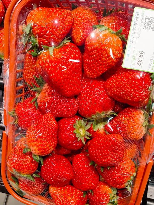 大草莓ty上线全都免费，网友：绝不错过！