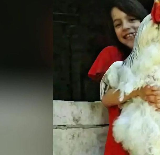 世界硬鸡鸡大赛开启免费体验，网友：这波福利也太棒了