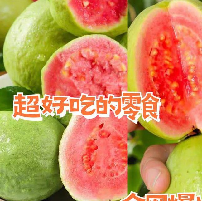 草莓丝瓜樱桃小蝌蚪榴莲芭乐最新版V3.1.4_草莓丝瓜樱桃小蝌蚪榴莲芭乐最新版