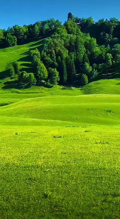 久久精品青青草原伊人,很多精彩的影视资源内容