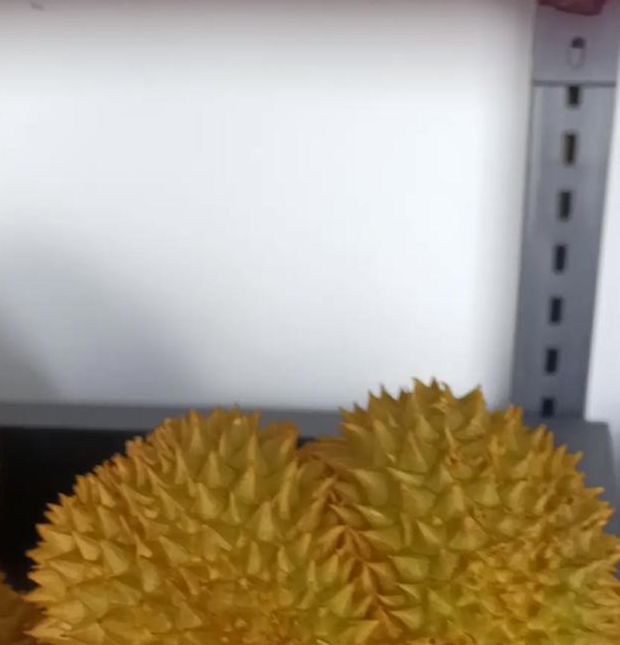 草莓榴莲.combo2.0深夜释放自己污V7.3.9_草莓榴莲.combo2.0深夜释放自己污 草莓榴莲.combo2.0深夜释放自己污V7.3.9_草莓榴莲.combo2.0深夜释放自己污