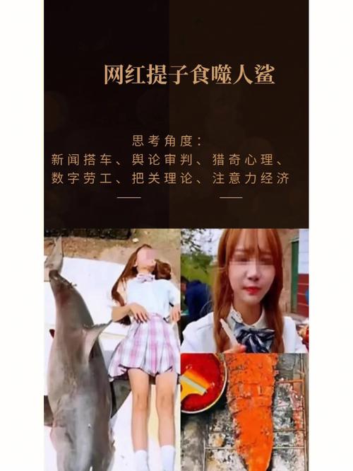 提子视频网站,相当有趣的视频播放软件 提子视频网站,相当有趣的视频播放软件