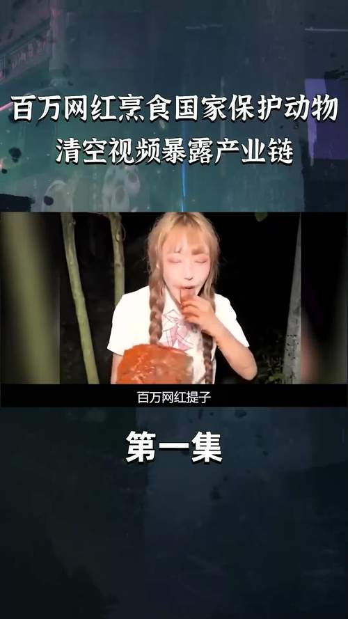 提子视频网站,相当有趣的视频播放软件 提子视频网站,相当有趣的视频播放软件