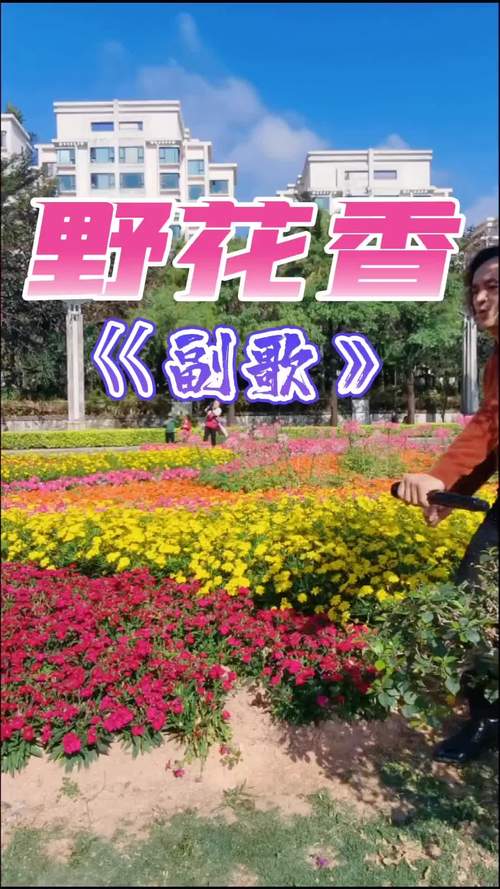 野花香社区在线观看V6.3.8_野花香社区在线观看