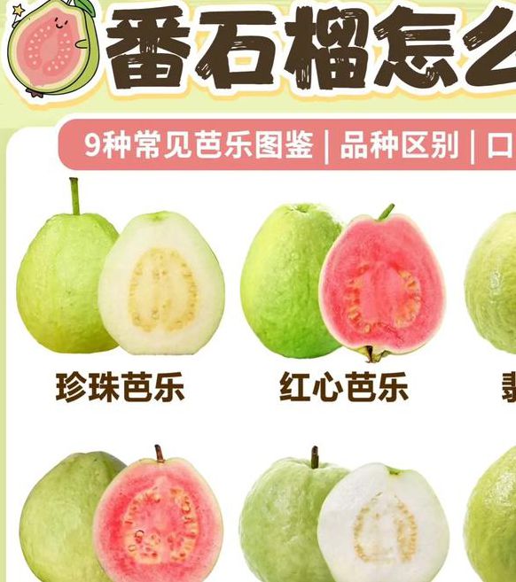 芭乐 草莓 榴莲大全V5.7.4_芭乐 草莓 榴莲大全