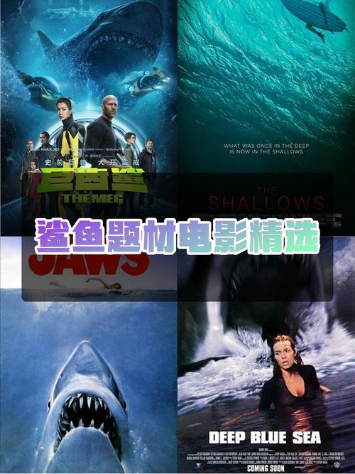 鲨鱼影视2021版V3.8.6_地址入口已经更换，网友：求新地址鲨鱼影视2021版