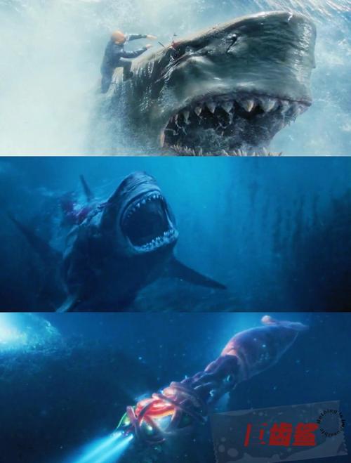 鲨鱼影视2021版V3.8.6_地址入口已经更换，网友：求新地址鲨鱼影视2021版