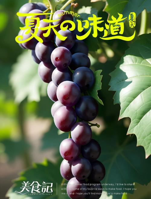 葡萄影视最新版V1.5.5_葡萄影视最新版