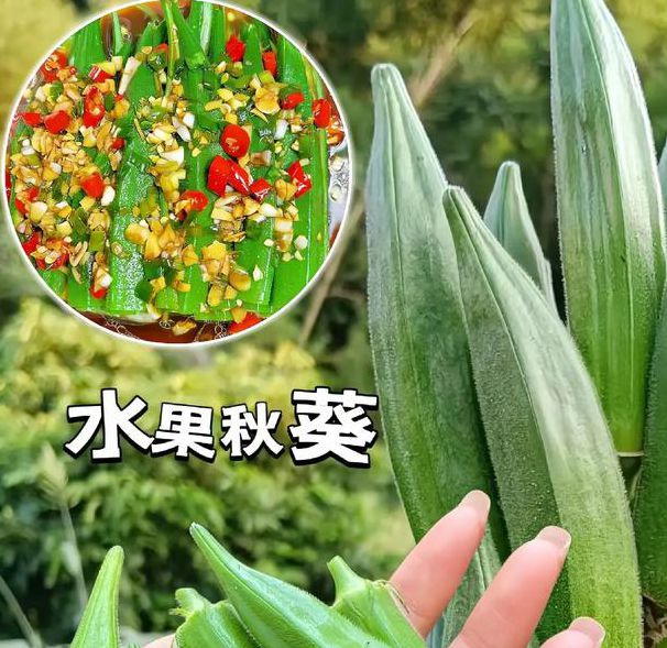 荔枝秋葵视频在线会对外公布?平台:暂未决定! 荔枝秋葵视频在线会对外公布?平台:暂未决定!