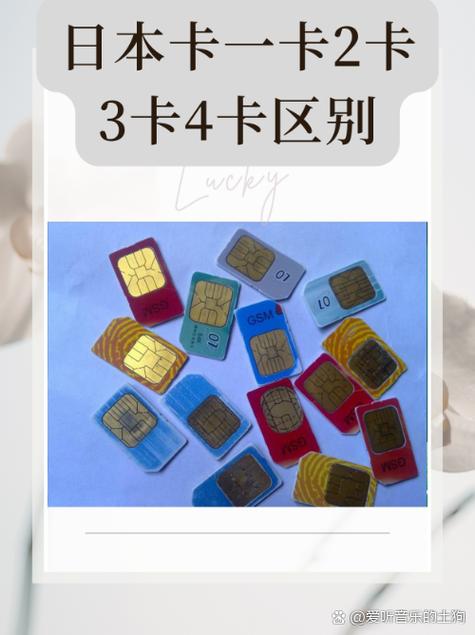 学生免费一卡二卡三卡9,带来了很多精彩的直播内容