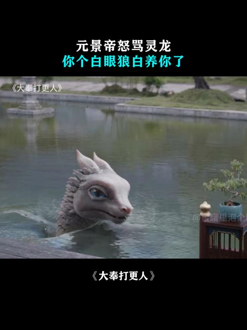 龙物视频高清版V9.3.9_龙物视频高清版