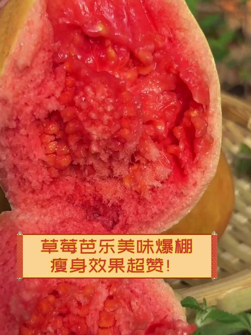 草莓香蕉茄子芭乐菠萝V5.2.1_草莓香蕉茄子芭乐菠萝 草莓香蕉茄子芭乐菠萝V5.2.1_草莓香蕉茄子芭乐菠萝