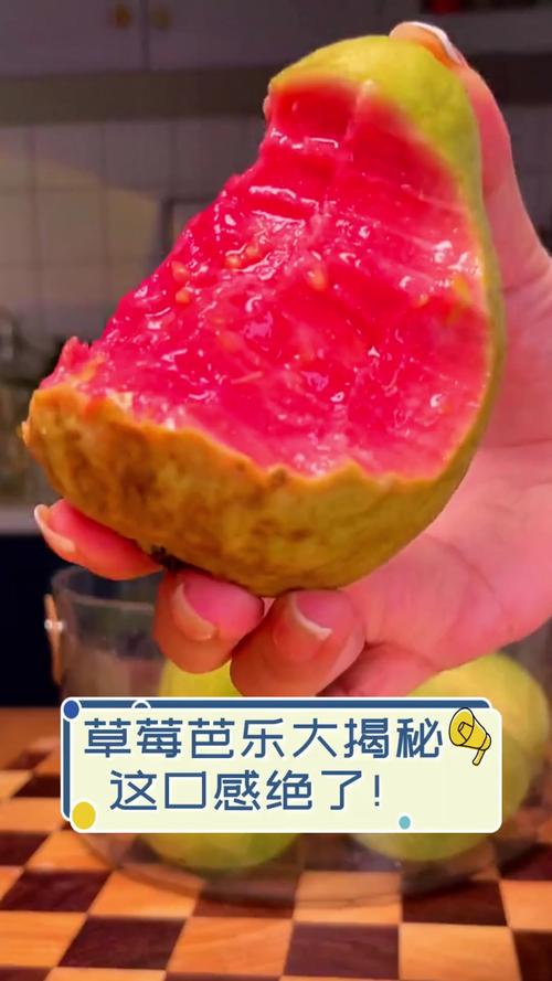 草莓香蕉茄子芭乐菠萝V5.2.1_草莓香蕉茄子芭乐菠萝 草莓香蕉茄子芭乐菠萝V5.2.1_草莓香蕉茄子芭乐菠萝