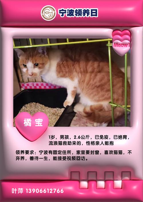 猫咪有你有我足矣!在线观看V5.8.2_会员免费领取，网友：下血本啊！猫咪有你有我足矣!在线观看