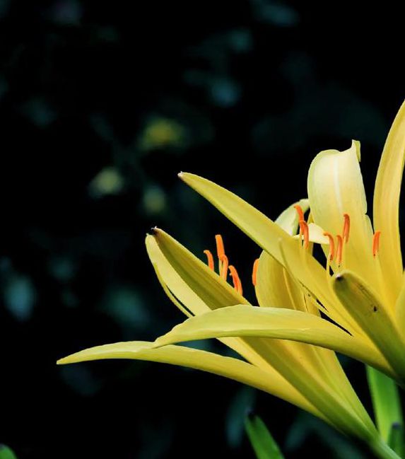 忘忧草jr8看片V5.9.8_忘忧草jr8看片 忘忧草jr8看片V5.9.8_忘忧草jr8看片