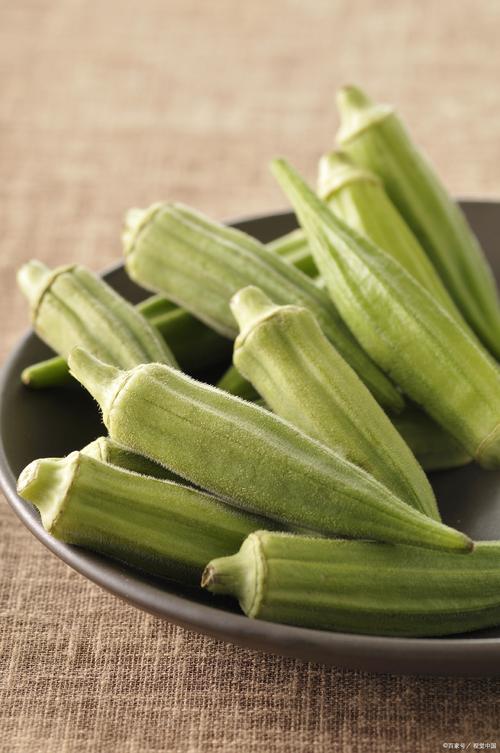 秋葵ios大全V7.3.3_,随时随地都能在这里看到精彩的内容秋葵ios大全