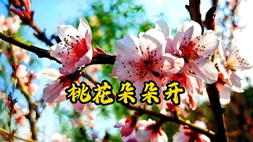 桃花在线播放免费观看完整版V4.7.7_迎来了最新调整,网友:没有必要!桃花在线播放免费观看完整版 桃花在线播放免费观看完整版V4.7.7_迎来了最新调整,网友:没有必要!桃花在线播放免费观看完整版