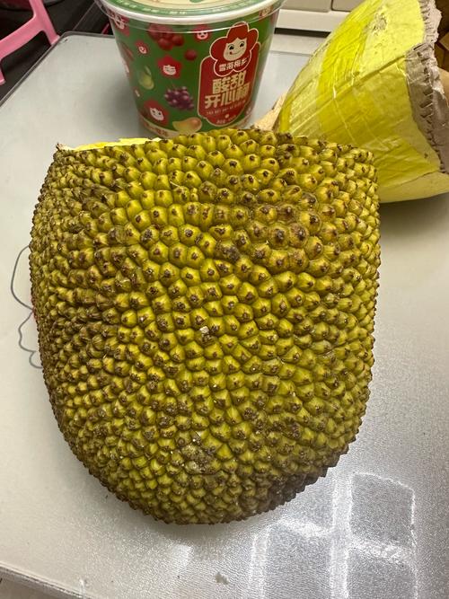 菠萝菠萝蜜免费高清手机观看视频4V3.2.1_菠萝菠萝蜜免费高清手机观看视频4