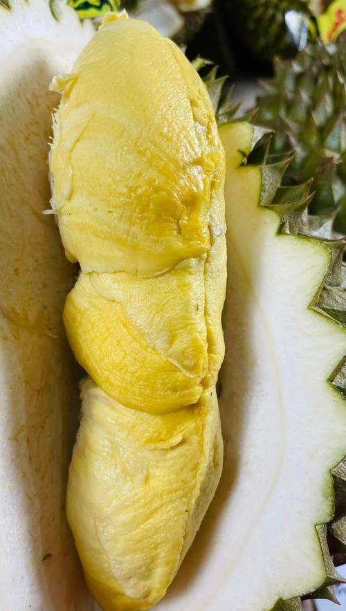 榴莲幸福宝1024视频V3.9.3_榴莲幸福宝1024视频