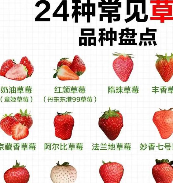 香蕉菠萝草莓视频流畅？平台：就当给粉丝福利了