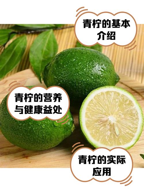 青柠视频1.0.4免费版,很火热的视频播放软件