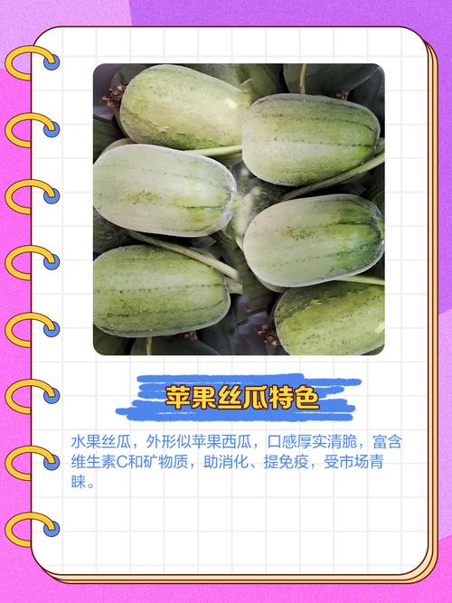 丝瓜黄瓜茄子秋葵草莓幸福宝V9.9.9_丝瓜黄瓜茄子秋葵草莓幸福宝