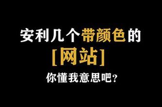 网站你懂我意思正能量晚上不用苹果入口即将开放，网友：持续期待中