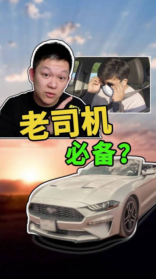 老司机午夜神器入口已开放，网友：准备好体验了